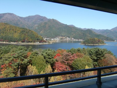 2009.11.06　河口湖温泉　富士ビューホテルと西湖いやしの里根場、富士花鳥園 071.jpg
