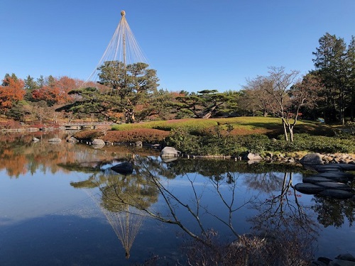 昭和記念公園の日本庭園.jpg