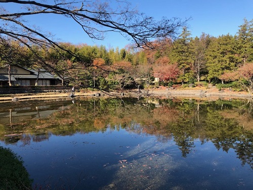 昭和記念公園の日本庭園2.jpg