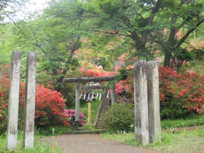 青梅・愛宕神社と海禅寺のつつじ　2011.5.8 031.jpg